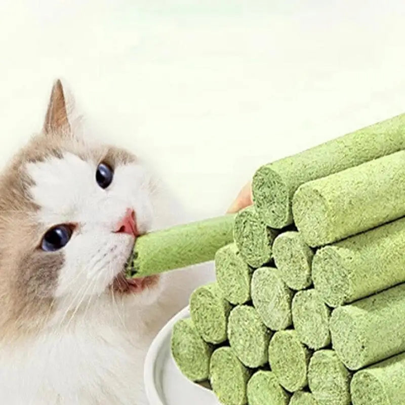 5pcs Cat Grass Teeth Grinding Stick Pet Snacks Hairball Removal Mild Hair Row Ready To Eat Cat Baby Cat Teeth Cleaning Sticks