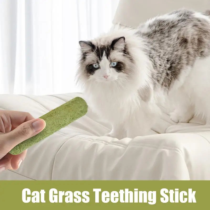 5pcs Cat Grass Teeth Grinding Stick Pet Snacks Hairball Removal Mild Hair Row Ready To Eat Cat Baby Cat Teeth Cleaning Sticks