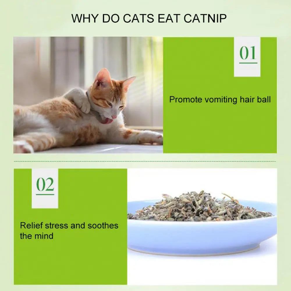 Catnip 5g/Pack Cat Mint Powder Natural Pet Kitten Mouth Cleaning Flavor Treats