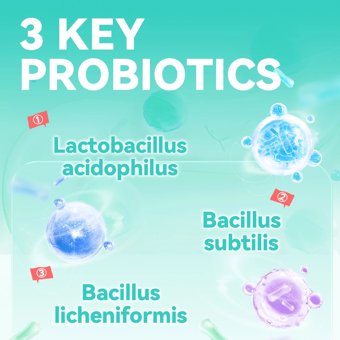 Chanbuni Probiotics for Pet Dogs Multivitamin Vitamins for Dogs Puppy Nutrition Dog Treats for Adult Puppies Universal