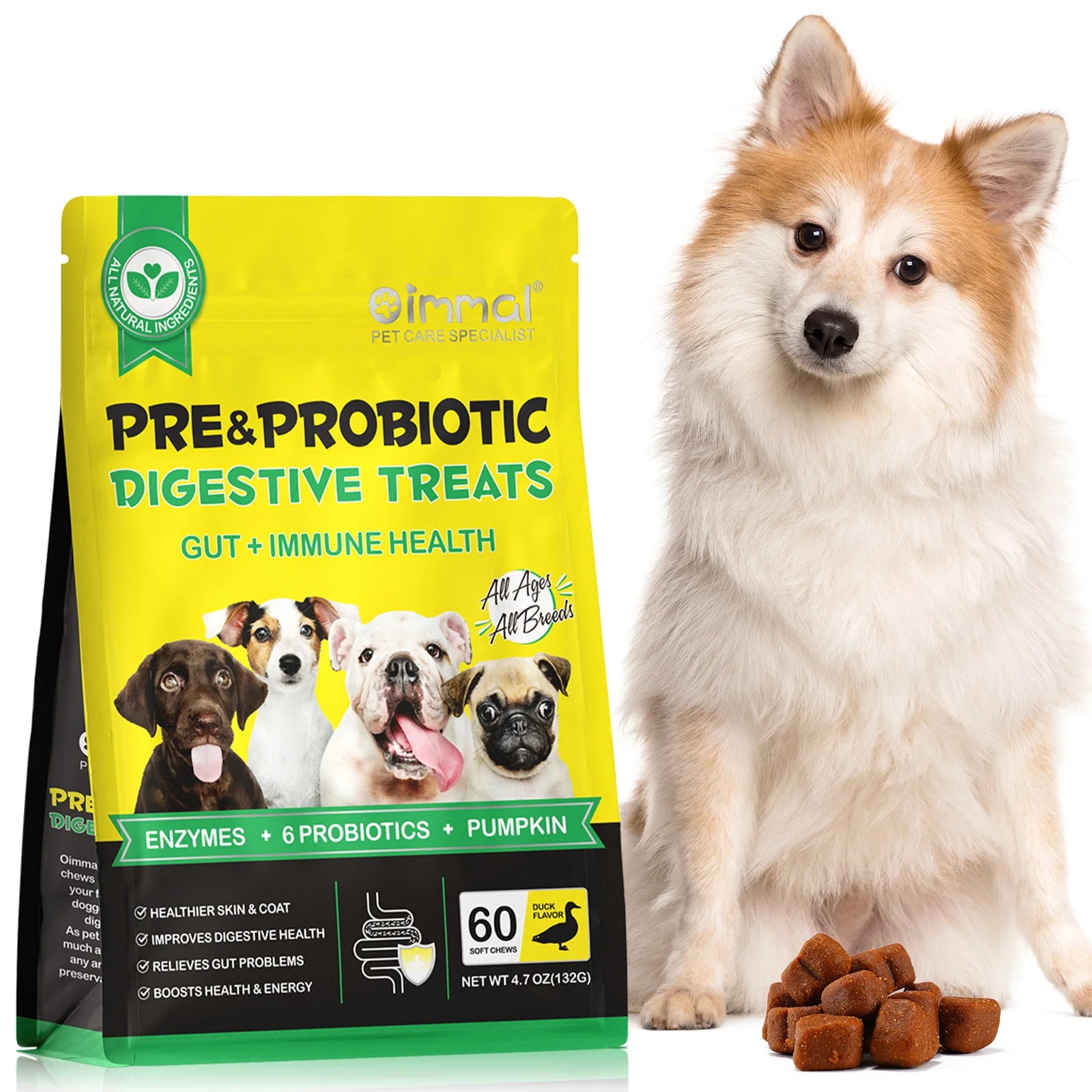 Pre Probiotics for Dogs Support Gut Health Itchy Skin Allergies Yeast Balance Immunity Probiotics and Digestive Enzymes 60 Chews