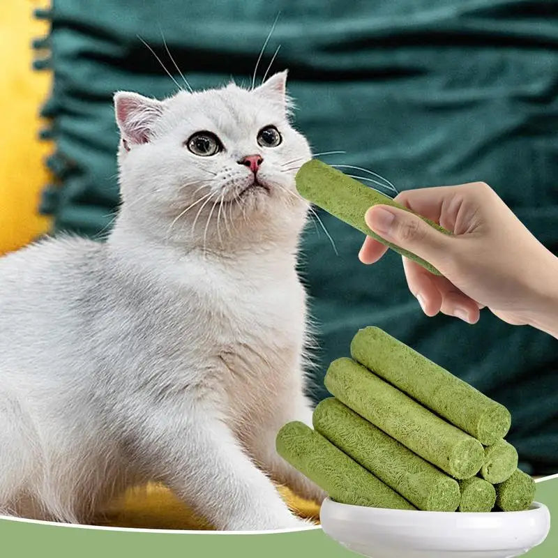 5pcs Cat Grass Teeth Grinding Stick Pet Snacks Hairball Removal Mild Hair Row Ready To Eat Cat Baby Cat Teeth Cleaning Sticks
